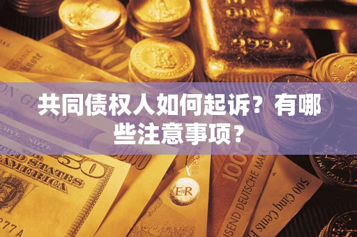 济南共同债权人如何起诉？有哪些注意事项？